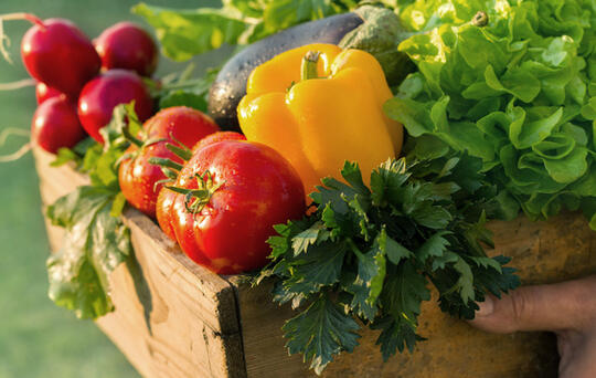 Reduce your carbon footprint in restaurant management