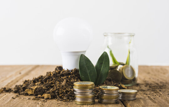 green weeks tips